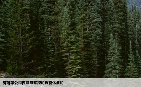 有哪家公司做酒店客控的智能化点的