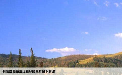 有哪些葡萄酒比较好简单介绍下谢谢