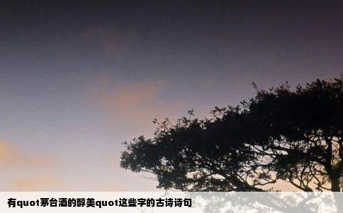 有quot茅台酒的醇美quot这些字的古诗诗句