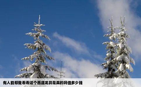 有人能帮我看看这个西湖龙井是真的吗值多少钱