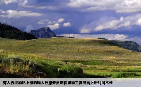 有人去过酒吧上班的吗大厅服务员这种里面工资挺高上班时间不长