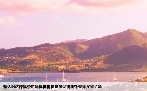 有认识这种黑茶的吗具体价格是多少钱我怀疑我买贵了急
