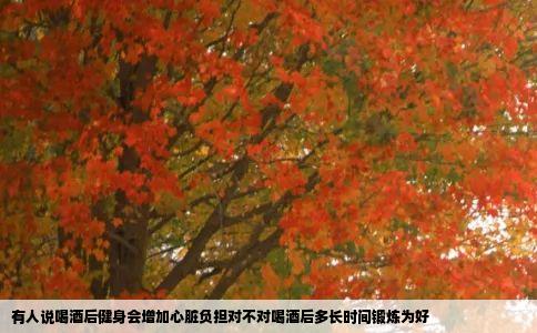 有人说喝酒后健身会增加心脏负担对不对喝酒后多长时间锻炼为好