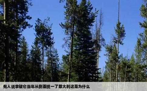 有人说拿破仑当年从侧面统一了意大利这是为什么