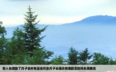 有人知道除了月子会所有卖安月泉月子米酒还有哪能买到吗东西确实
