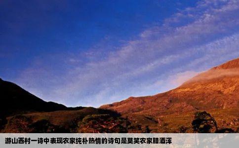 游山西村一诗中表现农家纯朴热情的诗句是莫笑农家腊酒浑