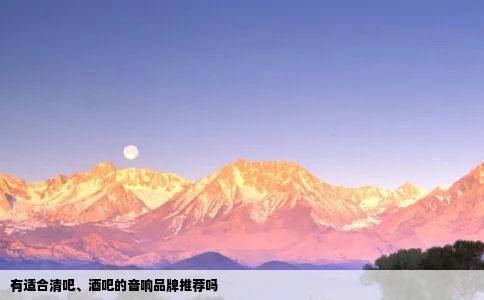 有适合清吧酒吧的音响品牌推荐吗