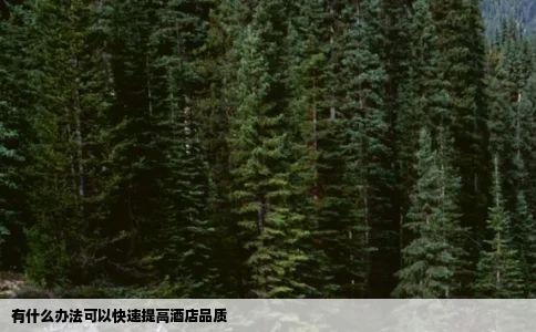 有什么办法可以快速提高酒店品质
