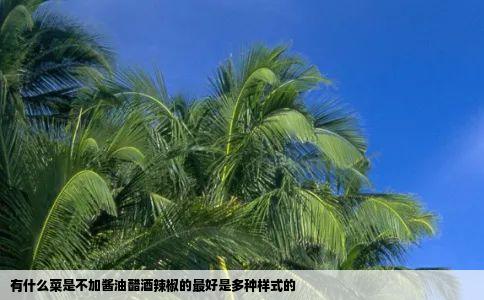 有什么菜是不加酱油醋酒辣椒的最好是多种样式的