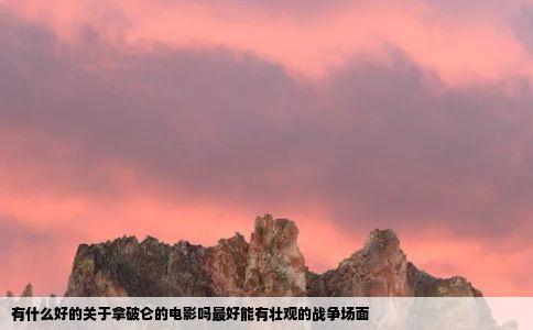 有什么好的关于拿破仑的电影吗最好能有壮观的战争场面