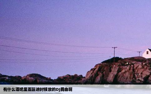 有什么酒吧里面蹦迪时候放的DJ舞曲啊