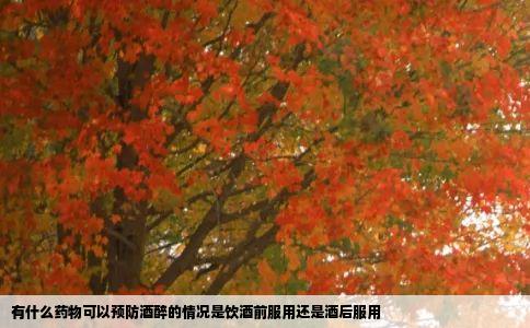 有什么药物可以预防酒醉的情况是饮酒前服用还是酒后服用