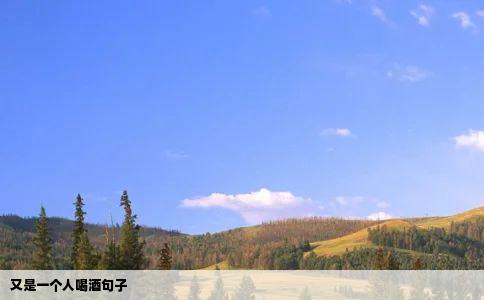 又是一个人喝酒句子