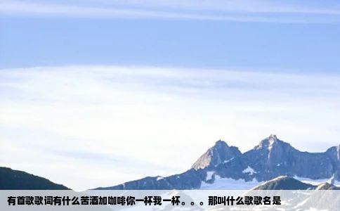 有首歌歌词有什么苦酒加咖啡你一杯我一杯那叫什么歌歌名是
