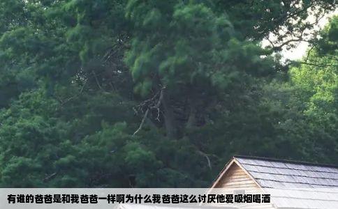 有谁的爸爸是和我爸爸一样啊为什么我爸爸这么讨厌他爱吸烟喝酒