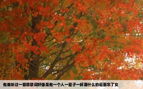 有谁听过一首歌歌词好像是有一个人一辈子一杯酒什么的后面忘了女