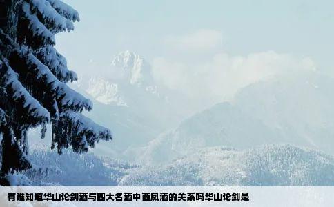 有谁知道华山论剑酒与四大名酒中西凤酒的关系吗华山论剑是