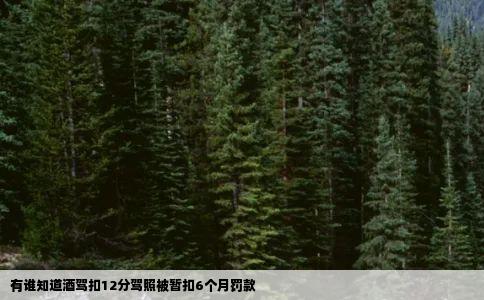 有谁知道酒驾扣12分驾照被暂扣6个月罚款
