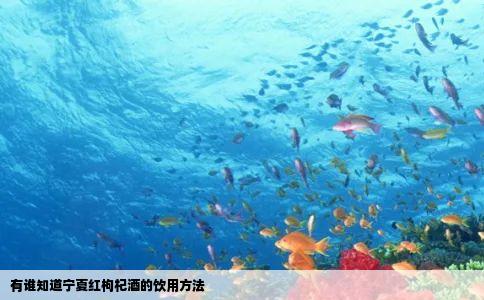 有谁知道宁夏红枸杞酒的饮用方法