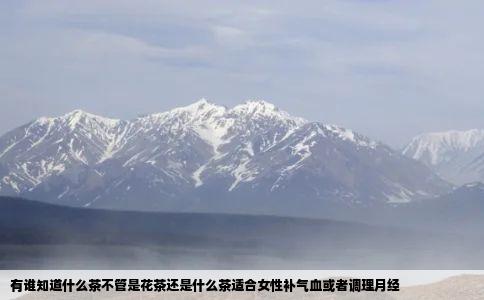 有谁知道什么茶不管是花茶还是什么茶适合女性补气血或者调理月经