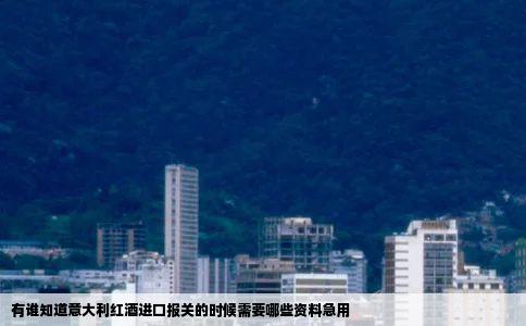 有谁知道意大利红酒进口报关的时候需要哪些资料急用