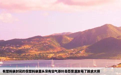 有塑料袋封闭的但塑料袋里头没有空气茶叶是否受潮发莓了跪求大师