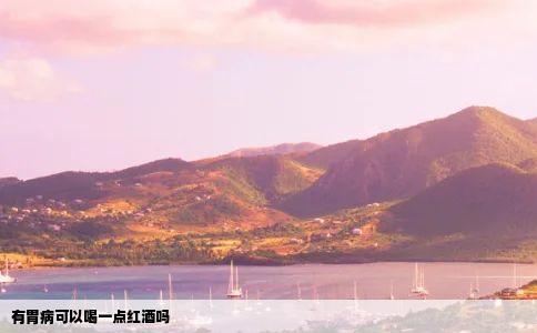有胃病可以喝一点红酒吗