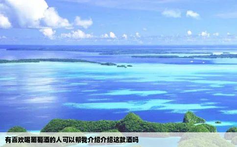 有喜欢喝葡萄酒的人可以帮我介绍介绍这款酒吗