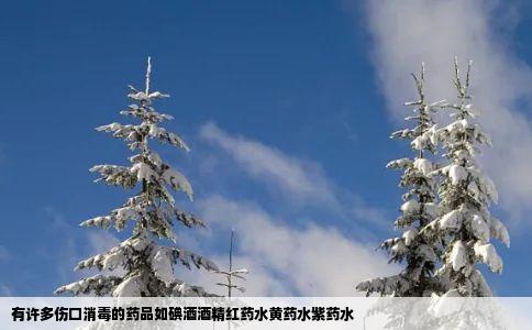 有许多伤口消毒的药品如碘酒酒精红药水黄药水紫药水