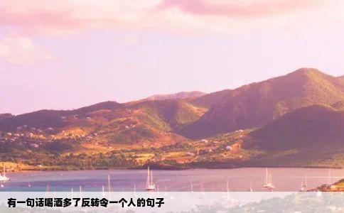 有一句话喝酒多了反转令一个人的句子