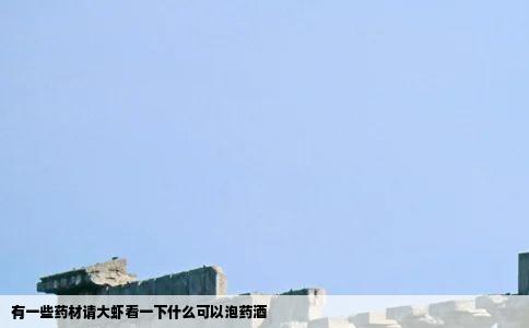 有一些药材请大虾看一下什么可以泡药酒