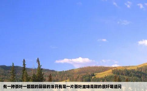 有一种茶叶一颗颗的圆圆的泡开有是一片茶叶滋味是甜的很好喝请问