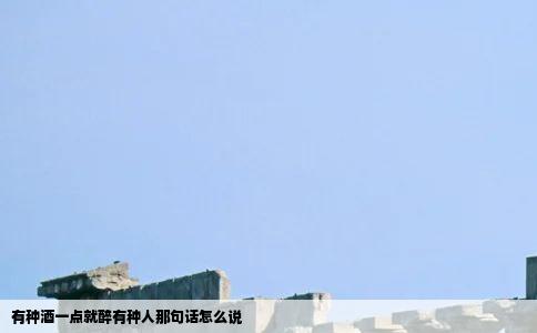 有种酒一点就醉有种人那句话怎么说