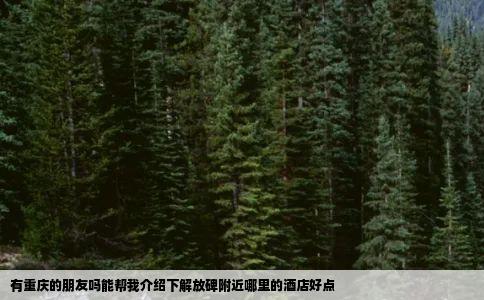 有重庆的朋友吗能帮我介绍下解放碑附近哪里的酒店好点