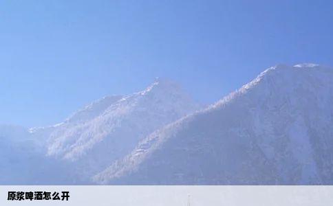 原浆啤酒怎么开