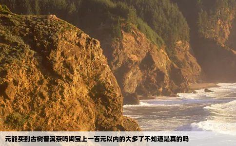 元能买到古树普洱茶吗淘宝上一百元以内的大多了不知道是真的吗