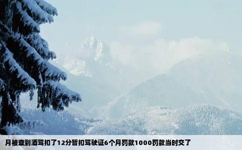 月被查到酒驾扣了12分暂扣驾驶证6个月罚款1000罚款当时交了