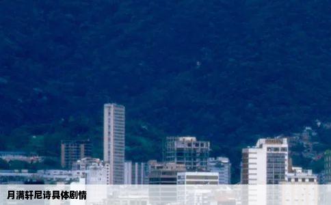 月满轩尼诗具体剧情