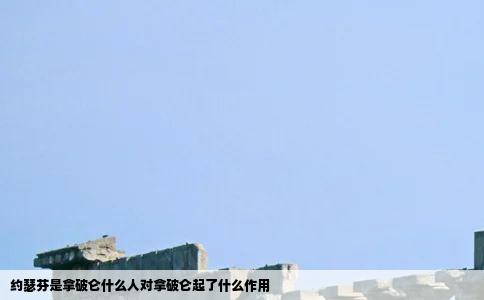 约瑟芬是拿破仑什么人对拿破仑起了什么作用