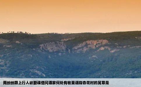 雨纷纷路上行人欲断魂借问酒家何处有牧童遥指杏花村的寓意是