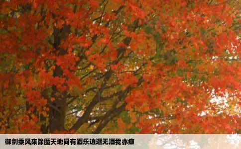 御剑乘风来除魔天地间有酒乐逍遥无酒我亦癫