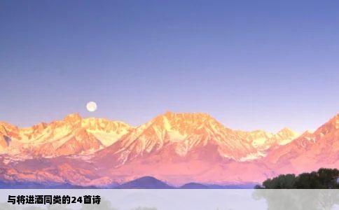 与将进酒同类的24首诗