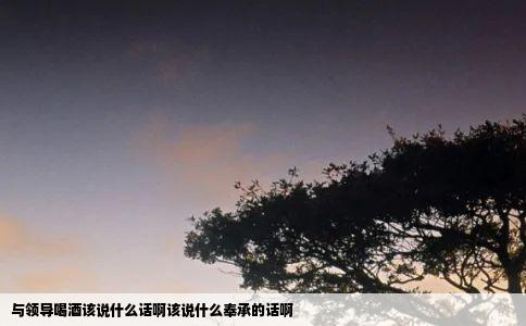 与领导喝酒该说什么话啊该说什么奉承的话啊