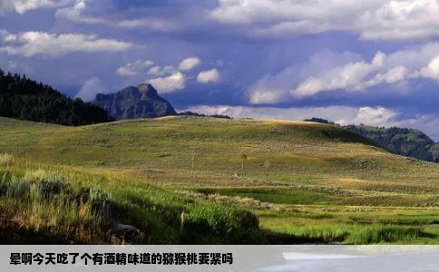 晕啊今天吃了个有酒精味道的猕猴桃要紧吗