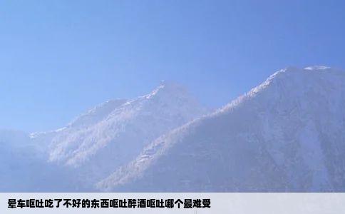 晕车呕吐吃了不好的东西呕吐醉酒呕吐哪个最难受