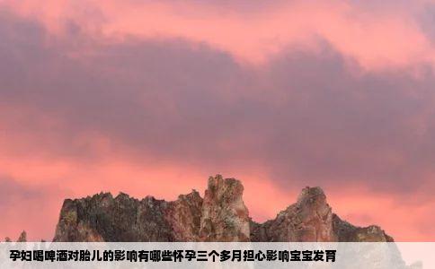 孕妇喝啤酒对胎儿的影响有哪些怀孕三个多月担心影响宝宝发育