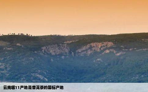 云南哪11产地是普洱茶的国标产地