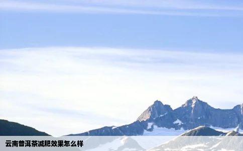 云南普洱茶减肥效果怎么样