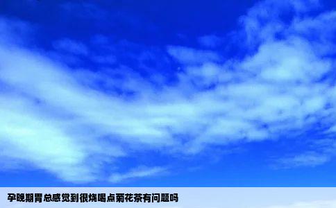 孕晚期胃总感觉到很烧喝点菊花茶有问题吗