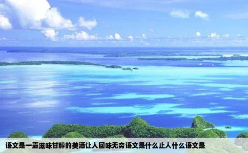语文是一壶滋味甘醇的美酒让人回味无穷语文是什么止人什么语文是